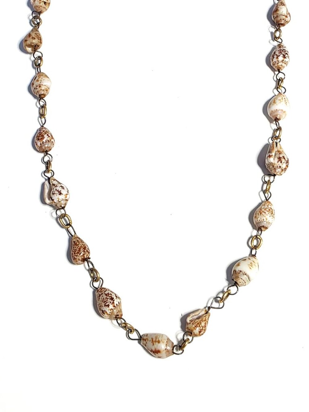 Tiny shell & gold link necklace